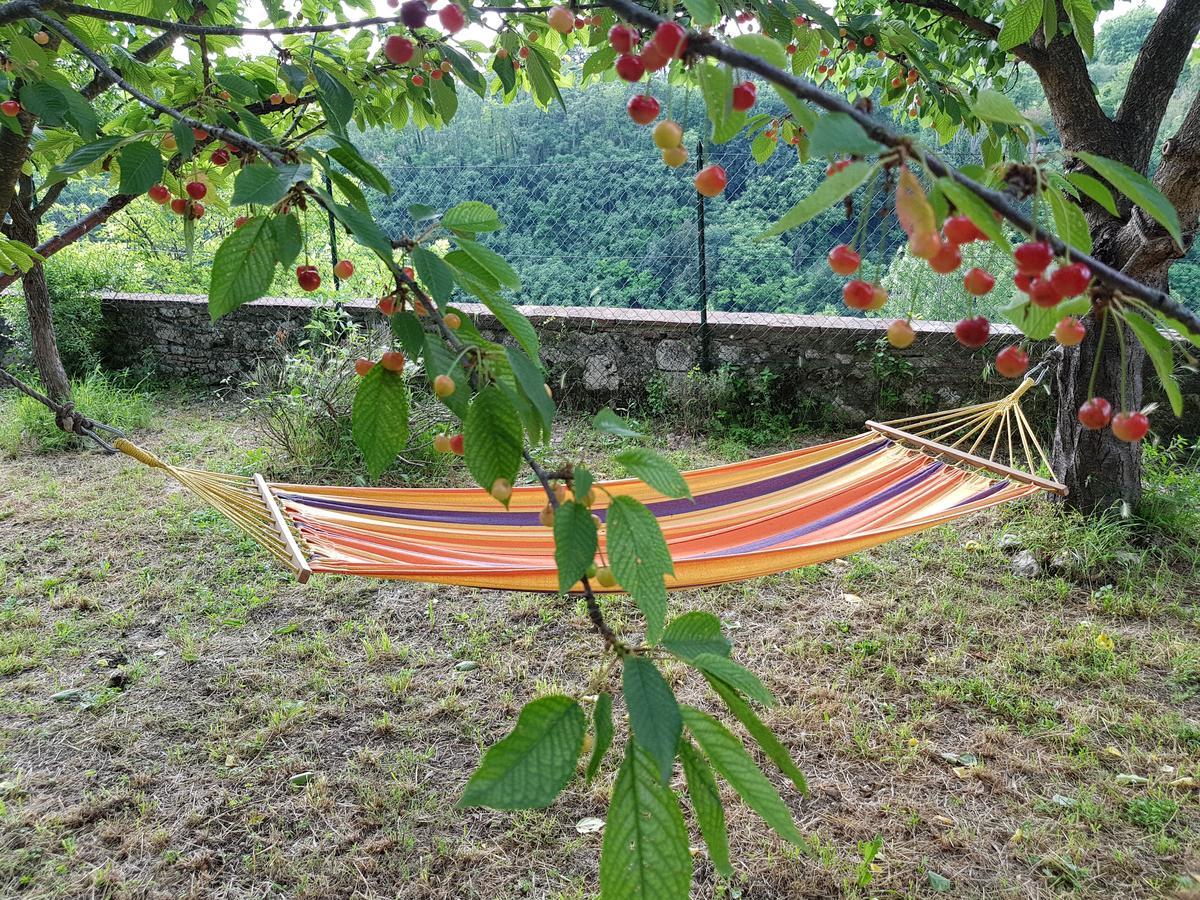 Guest House Il Giardino Colle Val D'Elsa Exterior photo